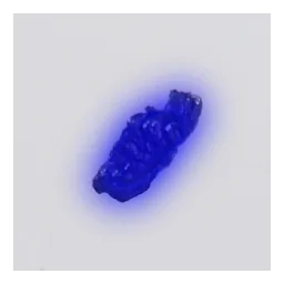 Mendelevio