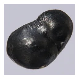 Berilio