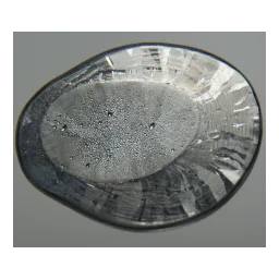 Plomo