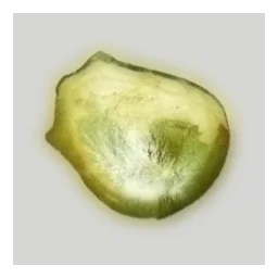 Polonio